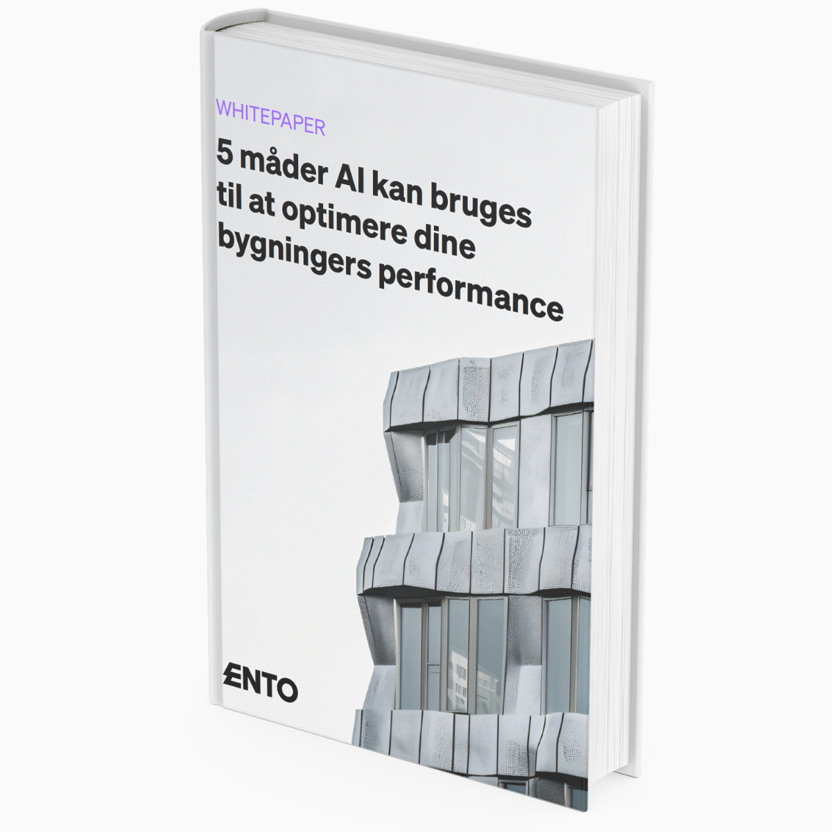 5 ways for using AI Book DK – light grey